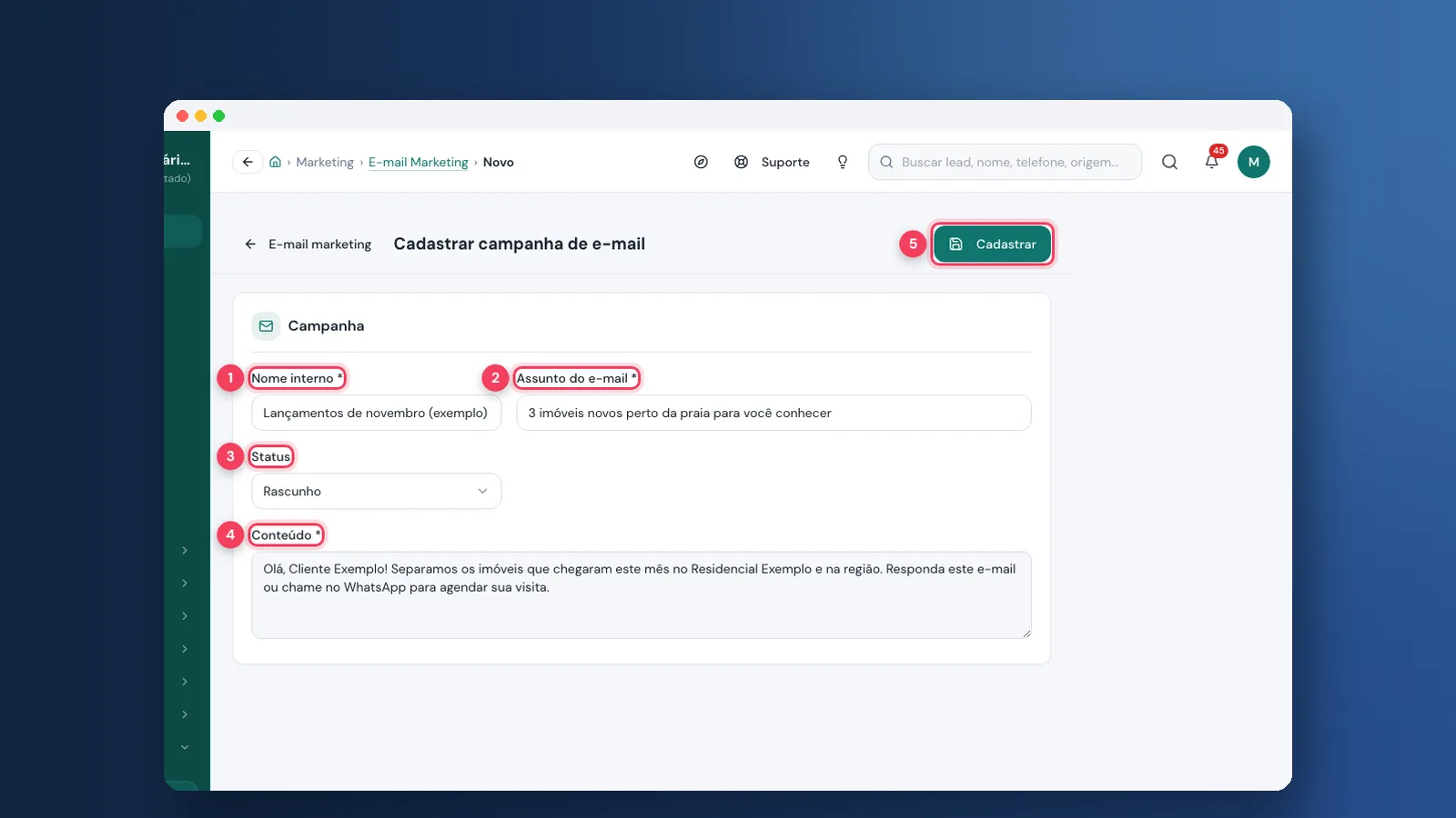 Tutorial: como organizar e-mail marketing e newsletter na Viniun
