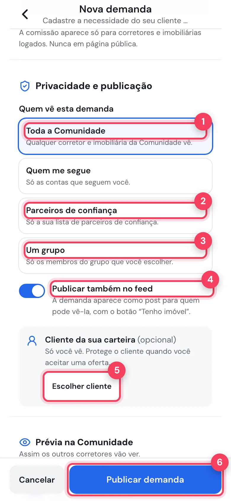 Opções de quem vê a demanda, publicar no feed, escolher cliente e botão Publicar demanda