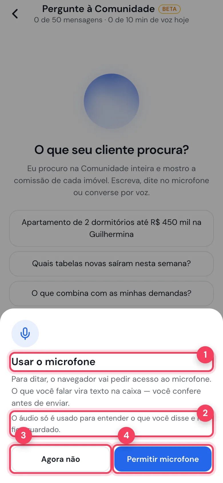 Janela Usar o microfone com a explicação, o aviso de que o áudio não fica guardado e os botões Agora não e Permitir microfone