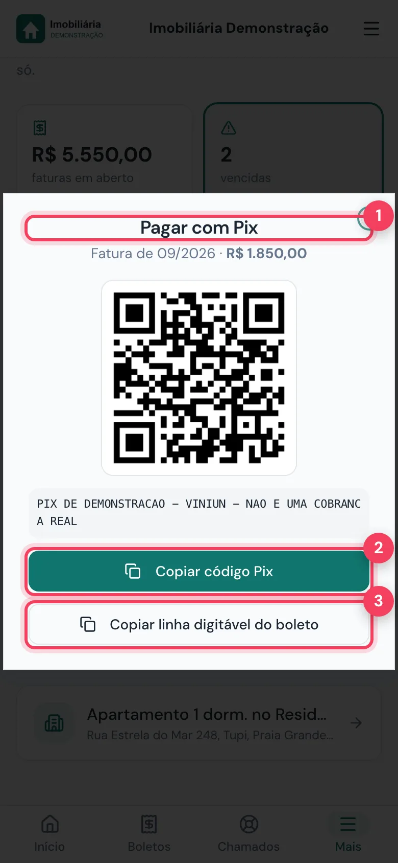 Janela Pagar com Pix com QR Code, Copiar código Pix e Copiar linha digitável do boleto marcados