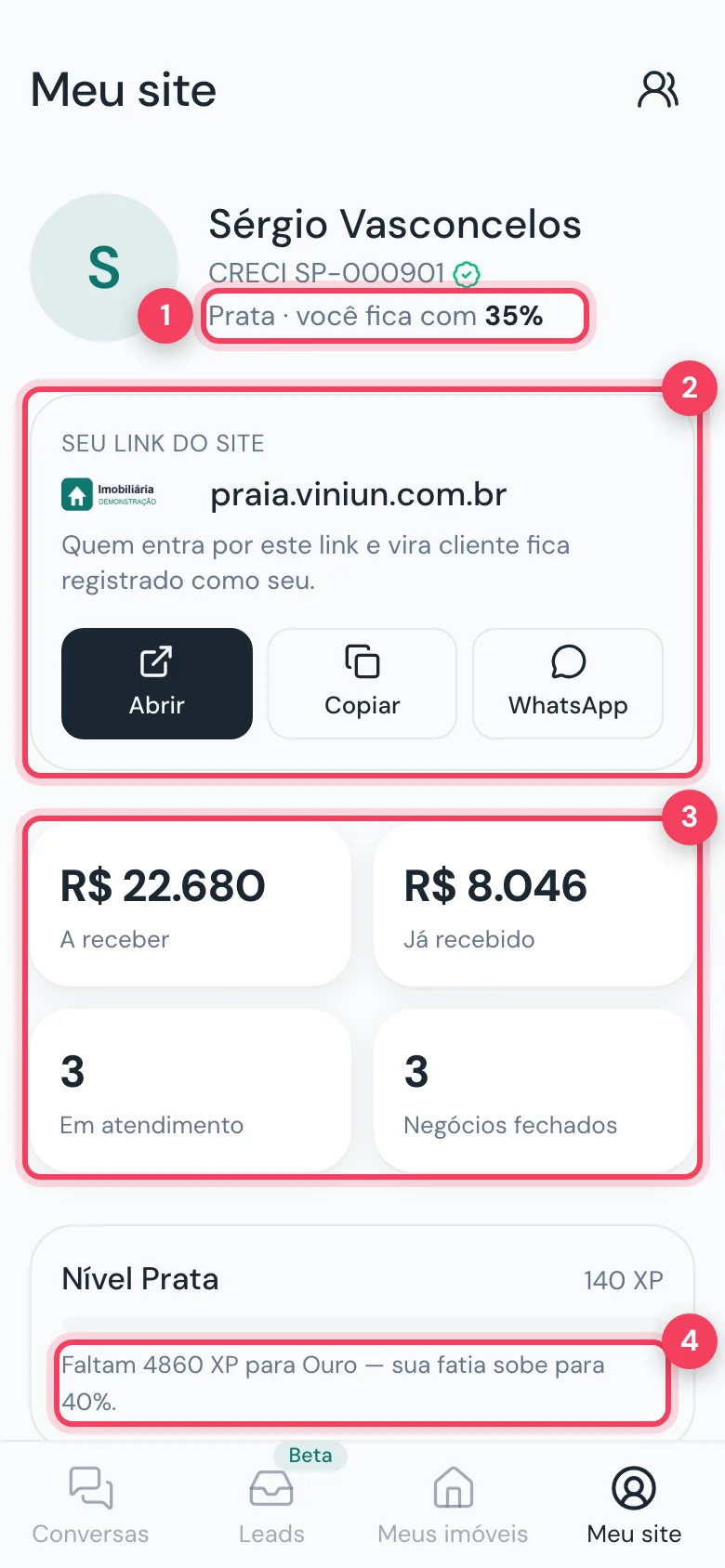 Meu site com nível e percentual, cartão do link do site, resumo de valores e progresso de nível marcados