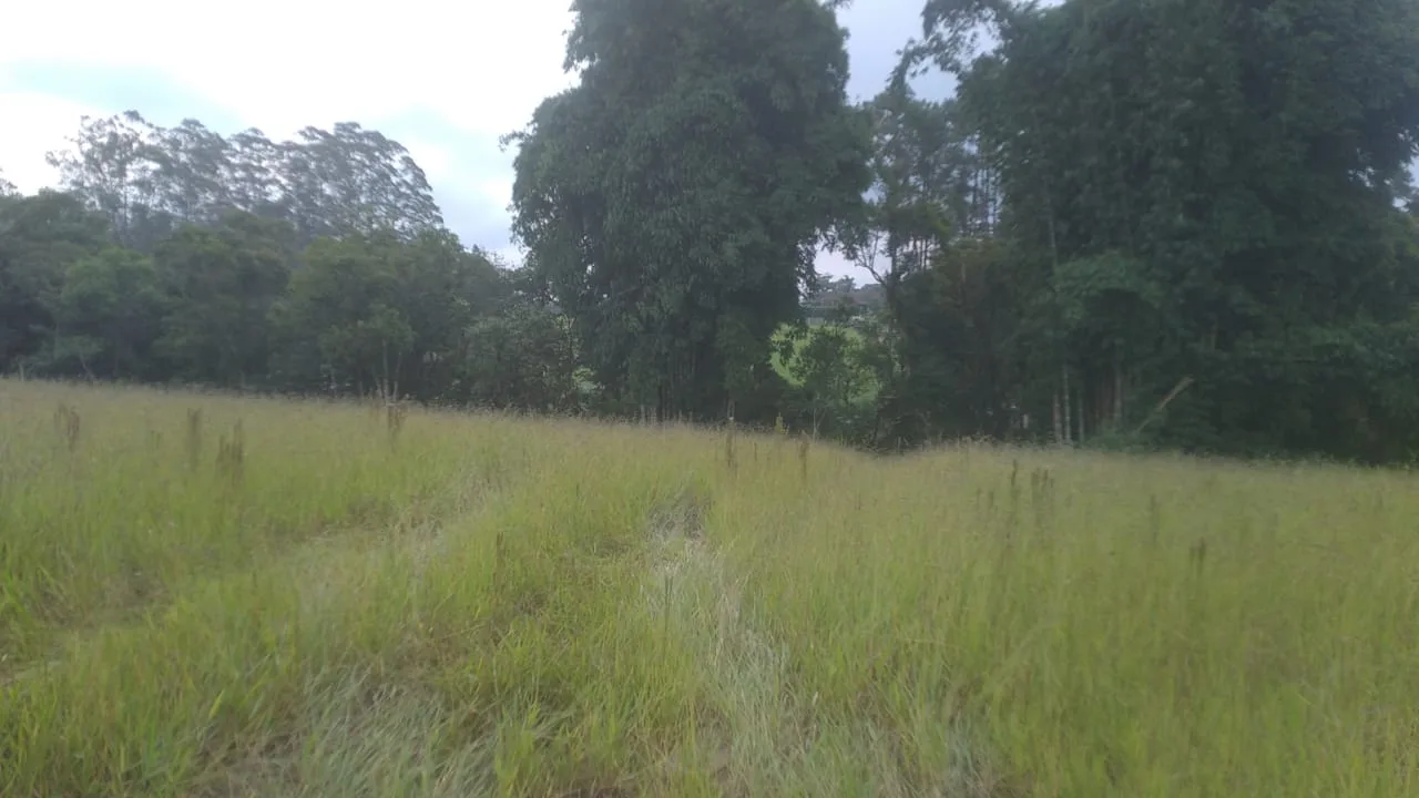 Oferta William — Marsilac terreno 6300m² William