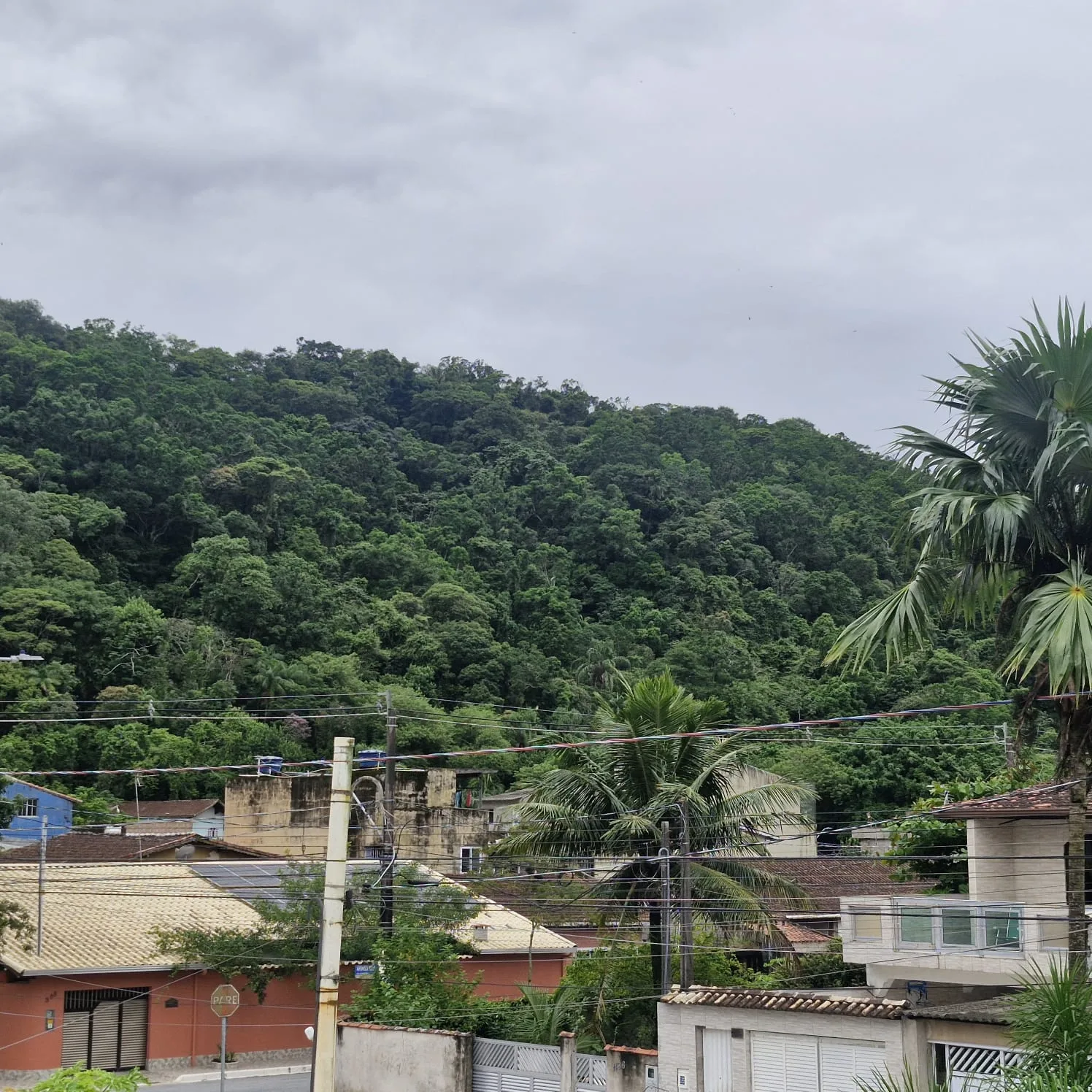 Sobrado Alto Padrão Rio Branco 1097 — foto 3
